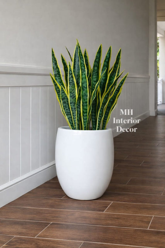 Artificial Snake plant
