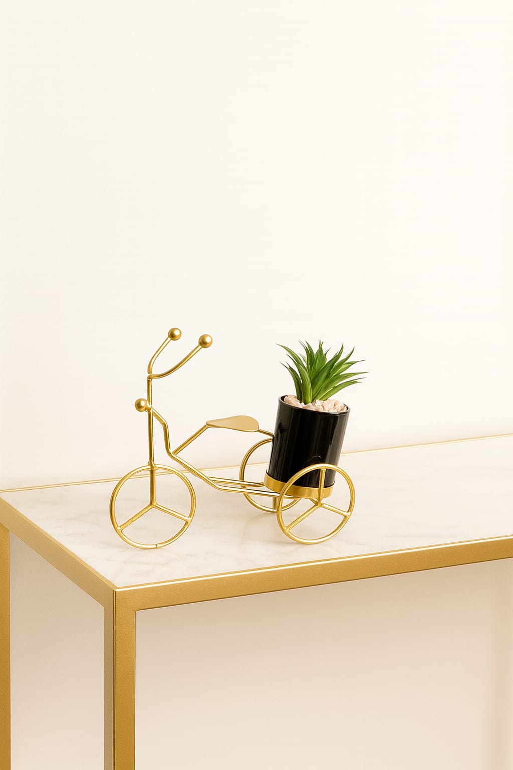 Ornamental Bicycle with Succulent