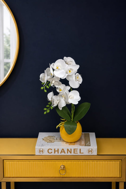 Elegant Orchids Set up