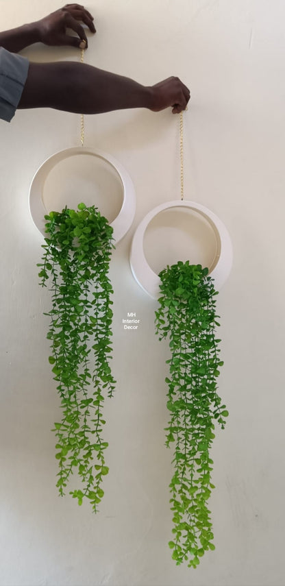 Unique Hanging Wall Vines