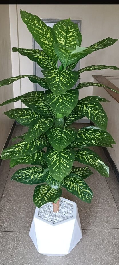 Artificial Dieffenbachia Plant